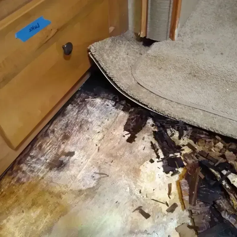 Wood Floor Water Damage in Haines, AK